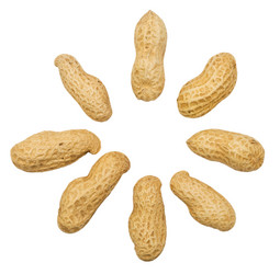 Similar image 304753