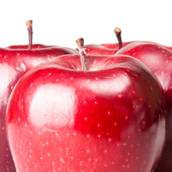 Similar image 304768