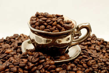 Similar image 304787