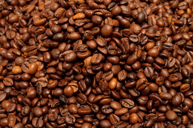 Similar image 304788