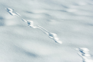 Similar image 304829