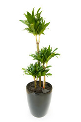 Similar image 304871