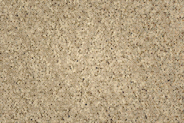 Similar image 304873