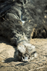 Similar image 304878