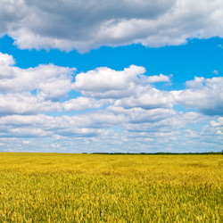 Similar image 304924