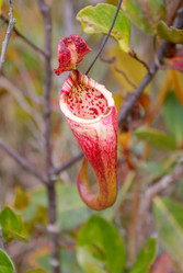 Similar image 304948