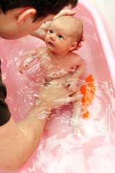 Similar image 304986