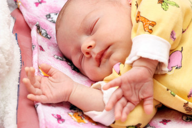 Similar image 304996