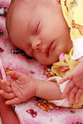 Similar image 304998