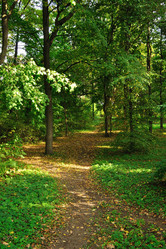 Similar image 305043