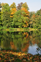 Similar image 305044