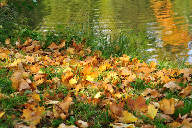 Similar image 305047