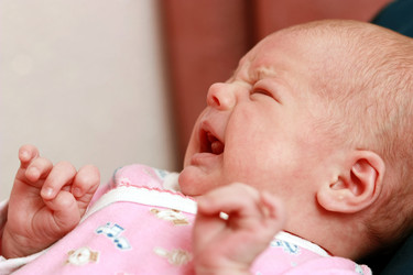 Similar image 305085