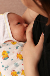 Similar image 305113