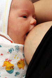 Similar image 305114