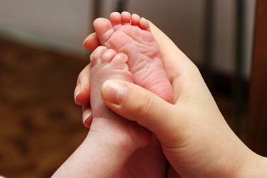 Similar image 305130