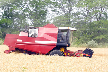 Similar image 305134