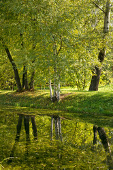 Similar image 305237