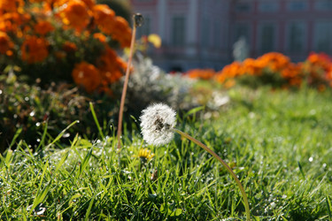 Similar image 305238