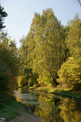 Similar image 305247