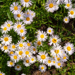 Similar image 305265