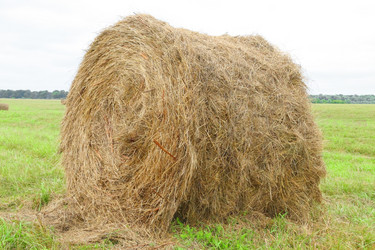 Similar image 305284