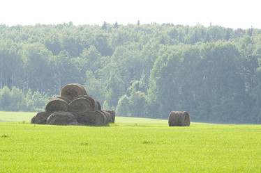 Similar image 305285