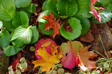 Similar image 305307