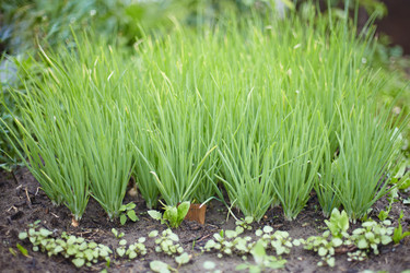 Similar image 305319