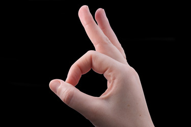 Similar image 305446