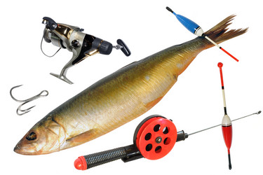 Similar image 305517