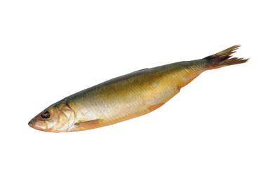 Similar image 305520