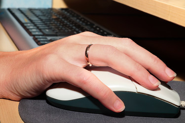 Similar image 305536