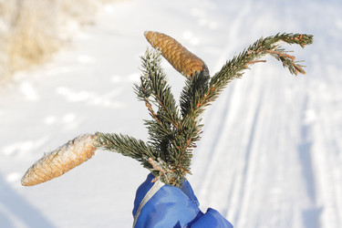 Similar image 305549