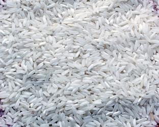 Similar image 305553