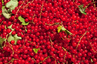 Similar image 305601