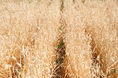 Similar image 305603