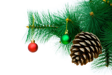 Similar image 305623