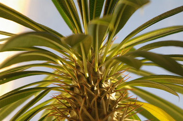 Similar image 305628