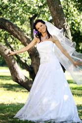 Similar image 305713