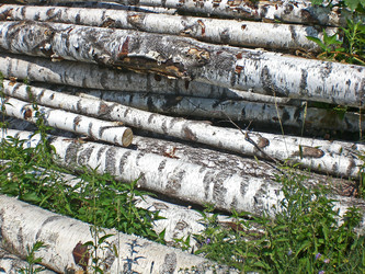 Similar image 305715