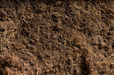 Similar image 305815