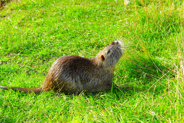 Similar image 306059