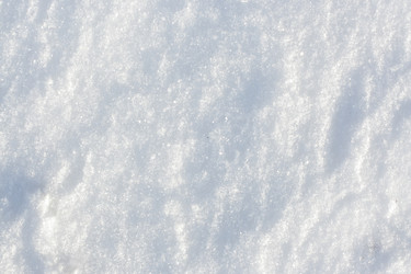 Similar image 306225