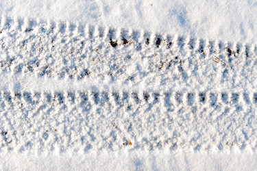 Similar image 306242