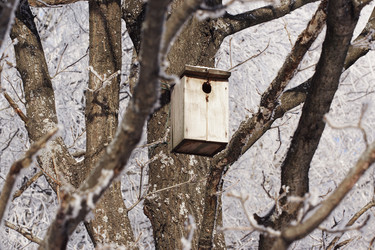 Similar image 306254