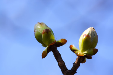 Similar image 306315