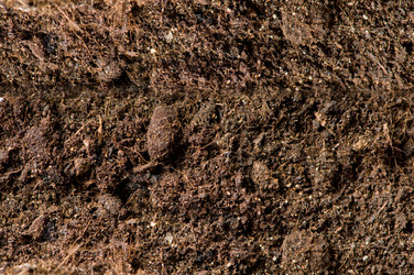 Similar image 306506