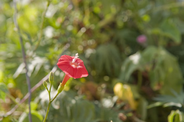 Similar image 306522