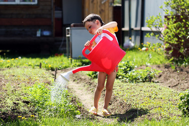 Similar image 306549